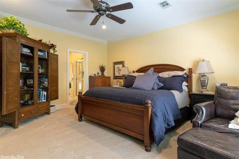9 Kingfisher Cv, Conway, AR 72032 photo 13