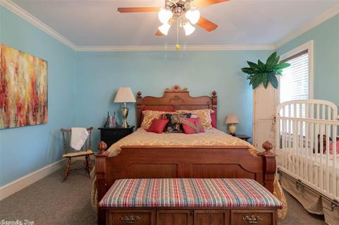 9 Kingfisher Cv, Conway, AR 72032 photo 25