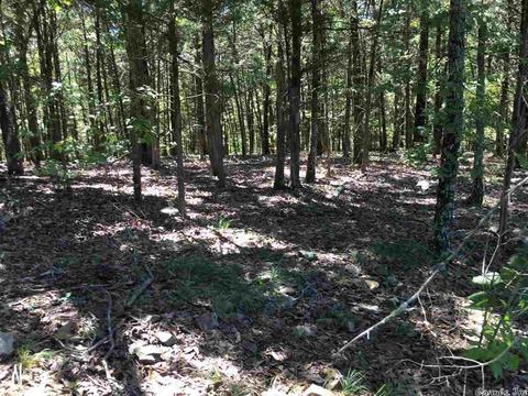 5765 Brush Creek Loop, Conway, AR 72034 photo 12