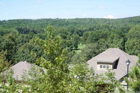 5765 Brush Creek Loop, Conway, AR 72034 photo 21