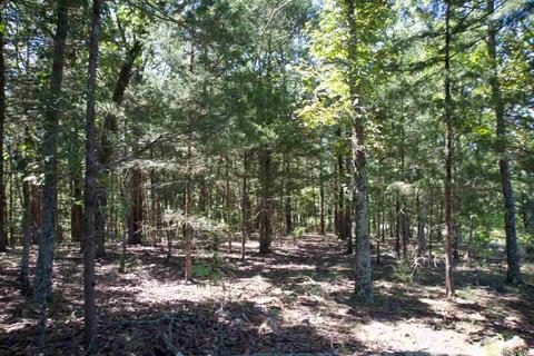 5765 Brush Creek Loop, Conway, AR 72034 photo 8