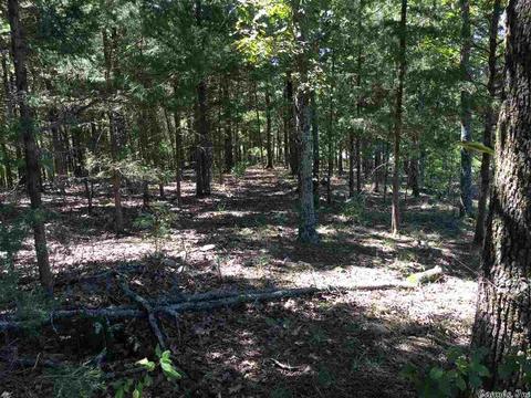 5765 Brush Creek Loop, Conway, AR 72034 photo 11