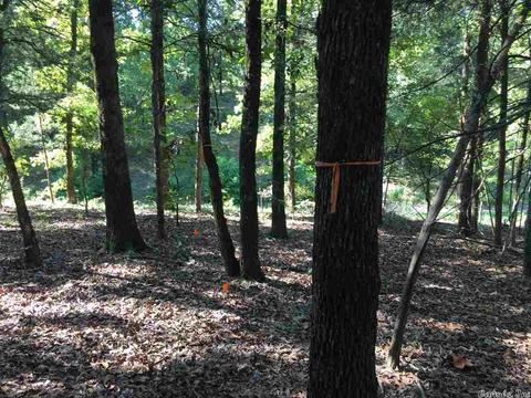 5765 Brush Creek Loop, Conway, AR 72034 photo 14