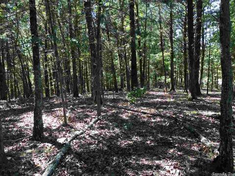 5765 Brush Creek Loop, Conway, AR 72034 photo 13