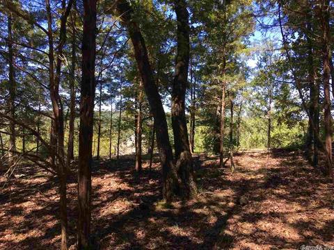 5765 Brush Creek Loop, Conway, AR 72034 photo 16