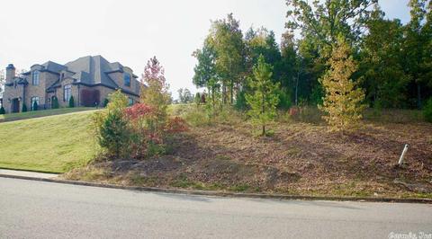 5765 Brush Creek Loop, Conway, AR 72034 photo 5