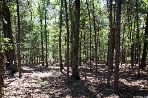 5765 Brush Creek Loop, Conway, AR 72034 photo 10