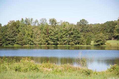 5765 Brush Creek Loop, Conway, AR 72034 photo 24