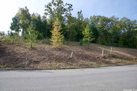 5765 Brush Creek Loop, Conway, AR 72034 photo 6