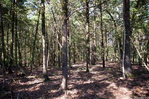 5765 Brush Creek Loop, Conway, AR 72034 photo 9