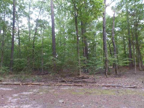 522 Posey Rd, Sparkman, AR 71763 photo 19