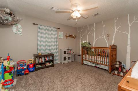 10 Fair Oaks Dr, Conway, AR 72034 photo 14