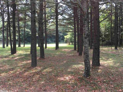 199 Sitton Pl, Clinton, AR 72031 photo 9