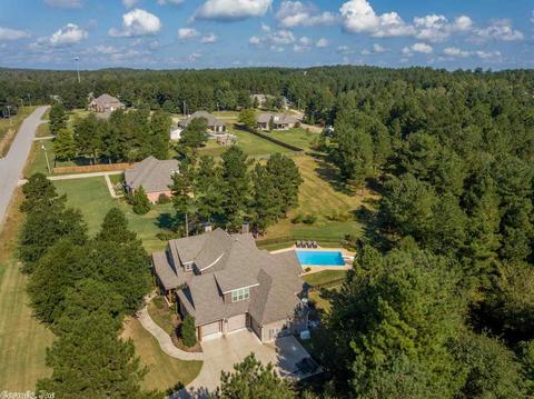 10064 Rhinestone Dr, Alexander, AR 72002 photo 4