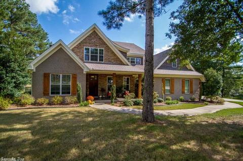 10064 Rhinestone Dr, Alexander, AR 72002 photo 1
