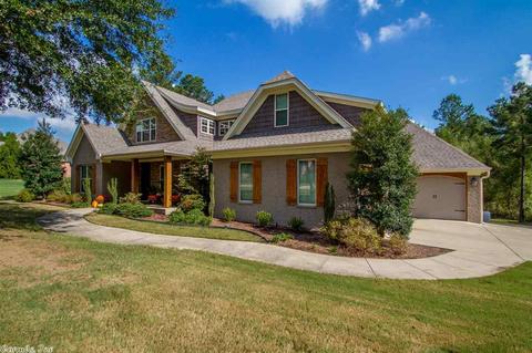 10064 Rhinestone Dr, Alexander, AR 72002 photo 2