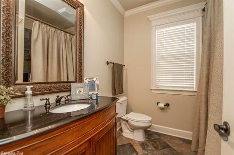 10064 Rhinestone Dr, Alexander, AR 72002 photo 19