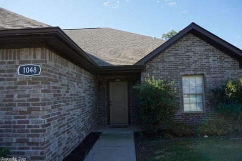 1048 Skyline Dr, Alexander, AR 72002 photo 3