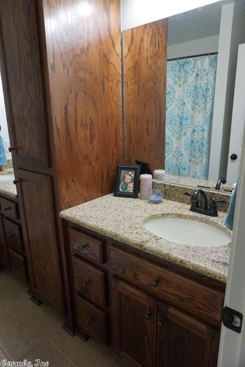 1048 Skyline Dr, Alexander, AR 72002 photo 15
