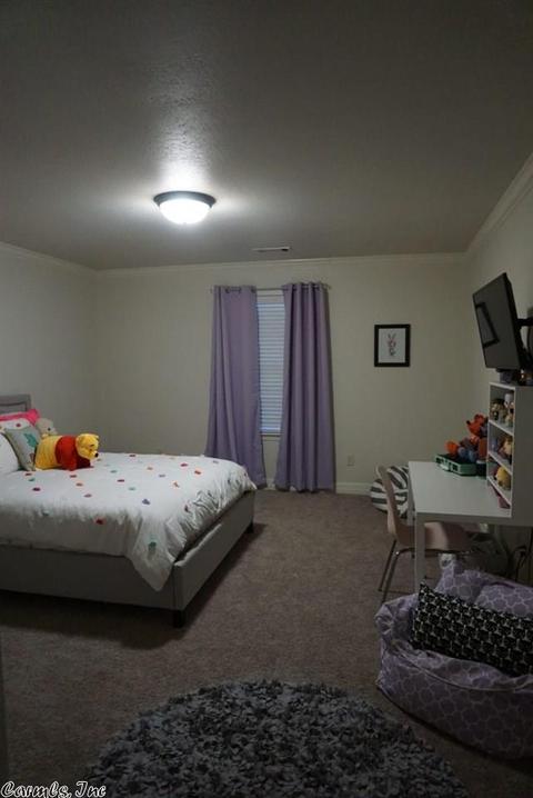 1048 Skyline Dr, Alexander, AR 72002 photo 18