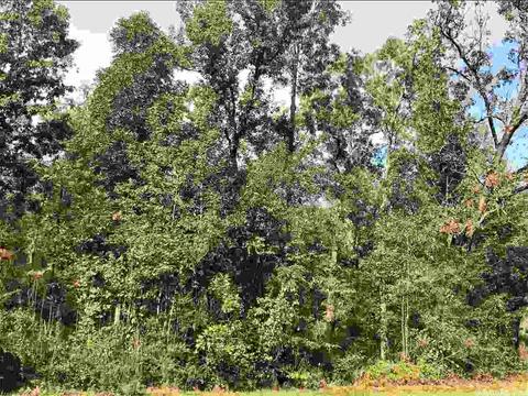 243 N Vinity Rd, Garner, AR 72143 photo 1