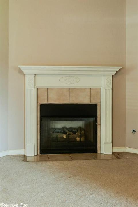 24 Porsche Dr, Cabot, AR 72023 photo 9