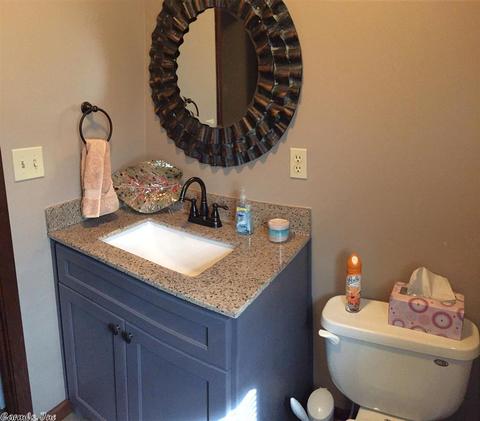 50 Miller Point Rd, Quitman, AR 72131 photo 12