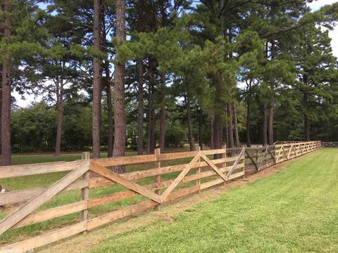 50 Miller Point Rd, Quitman, AR 72131 photo 39