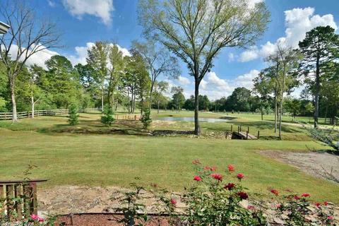 29 Piney Rd, Bigelow, AR 72016 photo 3