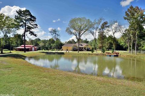 29 Piney Rd, Bigelow, AR 72016 photo 1