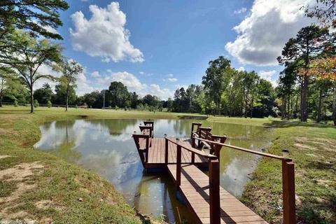 29 Piney Rd, Bigelow, AR 72016 photo 33