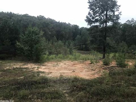 2510 Bennett Rd, Benton, AR 72015 photo 5