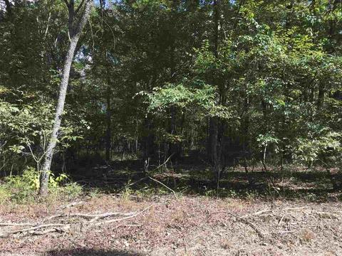 70 Mason, Amity, AR 71921 photo 17