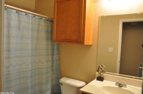 1305 Oakview Cv, Benton, AR 72015 photo 18