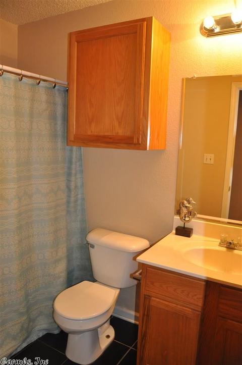 1305 Oakview Cv, Benton, AR 72015 photo 17