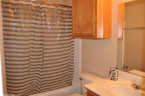1305 Oakview Cv, Benton, AR 72015 photo 27