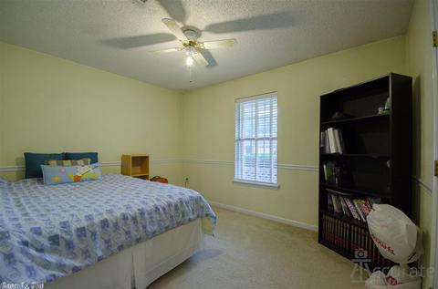 193 Rufus Cir, Conway, AR 72034 photo 17