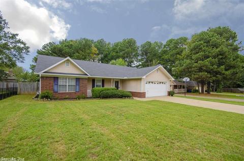 193 Rufus Cir, Conway, AR 72034 photo 29