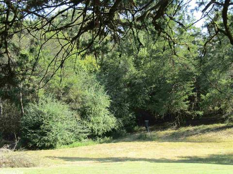 992 Calvin Rd, Amity, AR 71921 photo 32