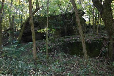 910 Haley, Newark, AR 72562 photo 22