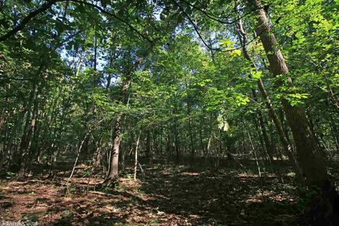 910 Haley, Newark, AR 72562 photo 25