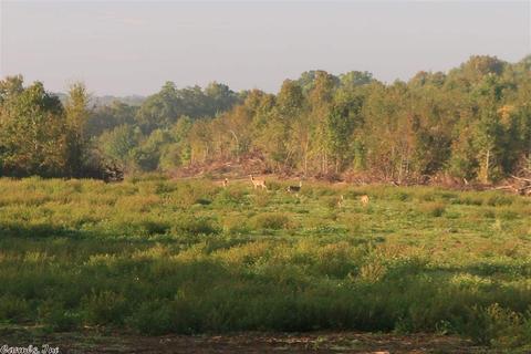 910 Haley, Newark, AR 72562 photo 30