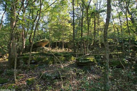 910 Haley, Newark, AR 72562 photo 23