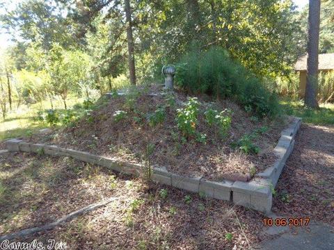 8501 Olive Hill Dr, Mabelvale, AR 72103 photo 23