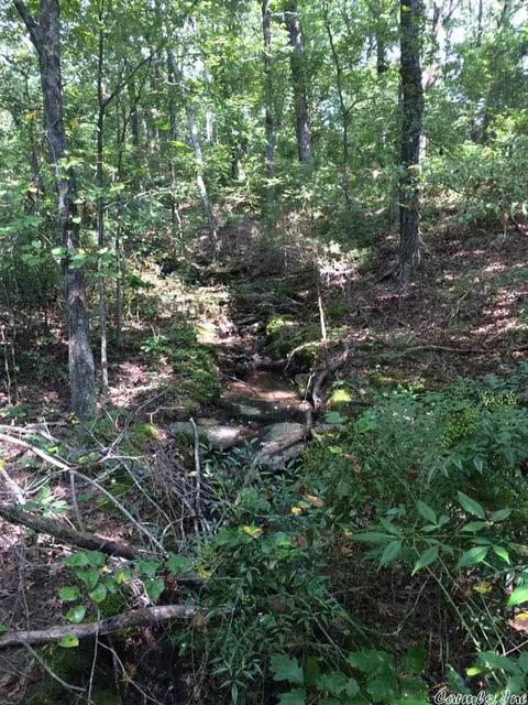 141 Merryman Rd, Clinton, AR 72031 photo 5