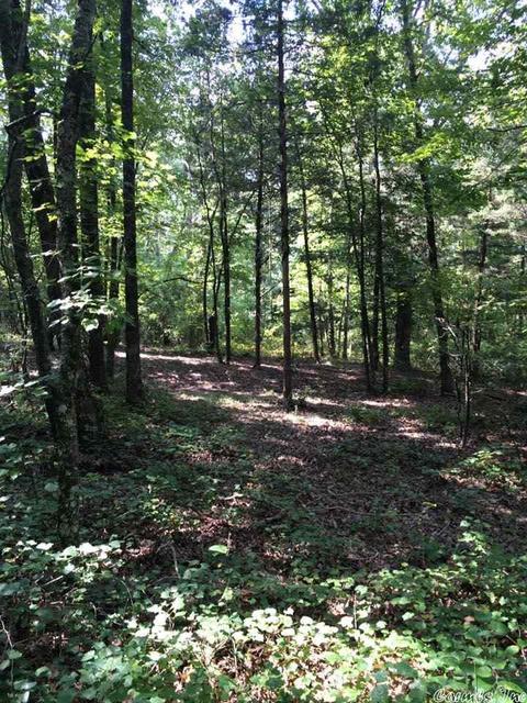 141 Merryman Rd, Clinton, AR 72031 photo 13