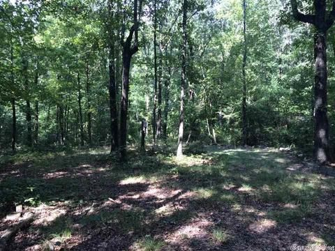 141 Merryman Rd, Clinton, AR 72031 photo 12