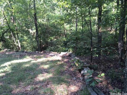 141 Merryman Rd, Clinton, AR 72031 photo 8