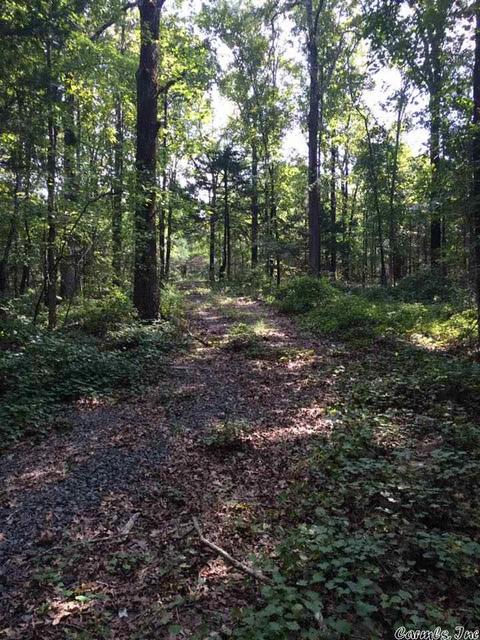 141 Merryman Rd, Clinton, AR 72031 photo 11