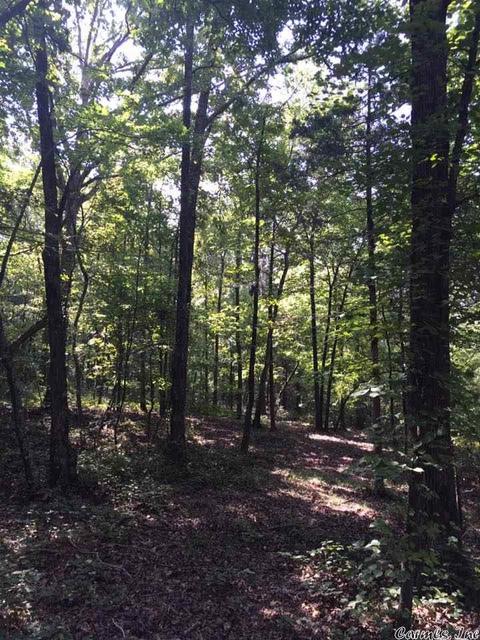 141 Merryman Rd, Clinton, AR 72031 photo 10